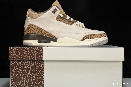 Retro Jordan  CT8532-102 CT8532-102 Palomino  3 0401